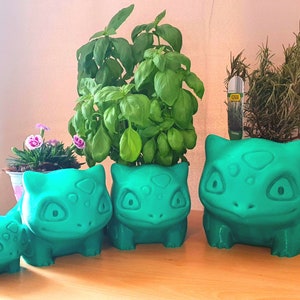 Fioriera Bulbasaur, regalo Pokemon, vaso per piante, porta cactus, porta succulente, vaso, regalo di inaugurazione della casa, Cartoon Pokemon Succulent Flower Pot