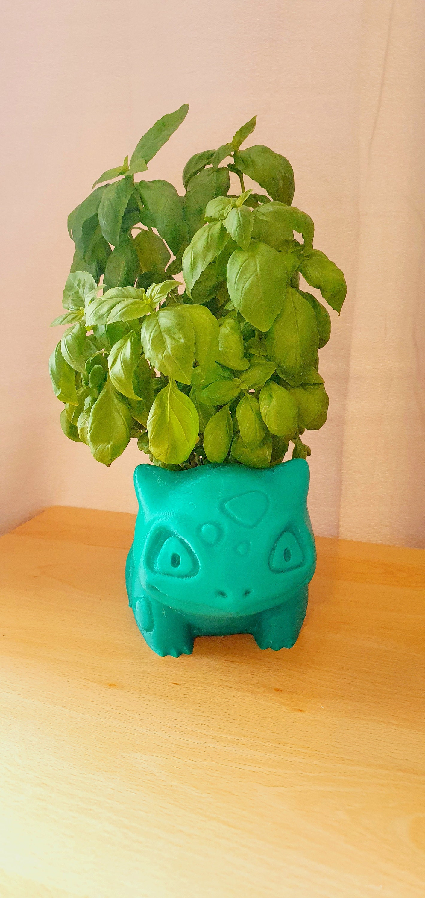 フシギダネプランター、ポケモンギフト、植木鉢、サボテンホルダー