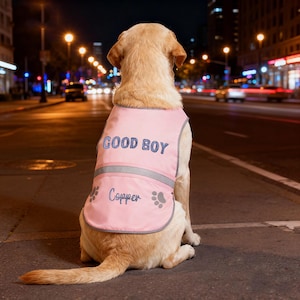 May include: A golden Labrador Retriever wearing a pink vest with the embroidered text "GOOD BOY" in blue. The vest also features the name "Copper" and paw prints. The dog is sitting on a city street at night.