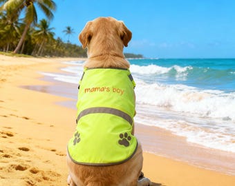 Personalised Embroidered Text Hi-Vis Dog Vest, Walking Training Reflective Safety Jacket Vest, Safety Pet Vest For Dog,Dog Walking Clothes