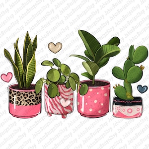 May include: Four potted plants with pink and white patterned pots. The plants include a snake plant, a money tree, a ficus, and a cactus. Each pot has a pink rim and a heart design.
