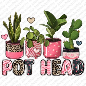 May include: Four potted plants with different designs on the pots. The plants are a snake plant, a money tree, a ficus, and a cactus. The text "POT HEAD" is written below the plants in a playful font.