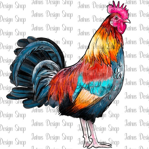 Watercolor Png Rooster Printable Digital Download Etsy