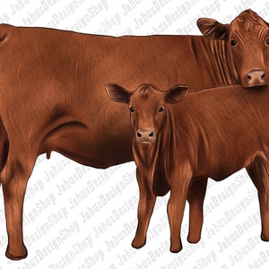Gelbvieh Png Sublimation Design, Tiere Design Png, Western Kuh Png, Kuh und Kalb Png, Handzeichnung Kühe Png, Digitale Downloads