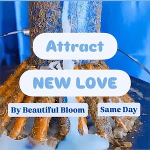 Find Love Spell, Discover Your Soulmate, Attract Love Spell .Twin flame Spell Attraction Spell , Love Spell to Attract Your Soulmate