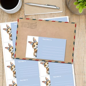 May include: A stationery set featuring a brown envelope with red and blue border trim, a blue address label, and sticker sheets. Each sticker and label has a watercolor illustration of a bunny wearing a blue bow. The text "Please Deliver To:" is printed on the labels.