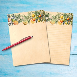 Orange Grove A5 Briefpapier, Briefpapier, Briefpapier, Briefpapier liniert oder unliniert, Niedliches Notizpapier mit oder ohne Linien