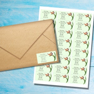 May include: A sheet of address labels with a snail design. The labels are printed with the text "Sarah Black, 27 Longway Road, New Town, Bamley, 877 877, ENGLAND".