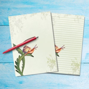 Papel para escribir cartas tamaño A5 con diseño de caracol en acuarela, suministros para amigos por correspondencia, hojas sueltas de papelería con o sin líneas, lindo papel para notas con o sin líneas
