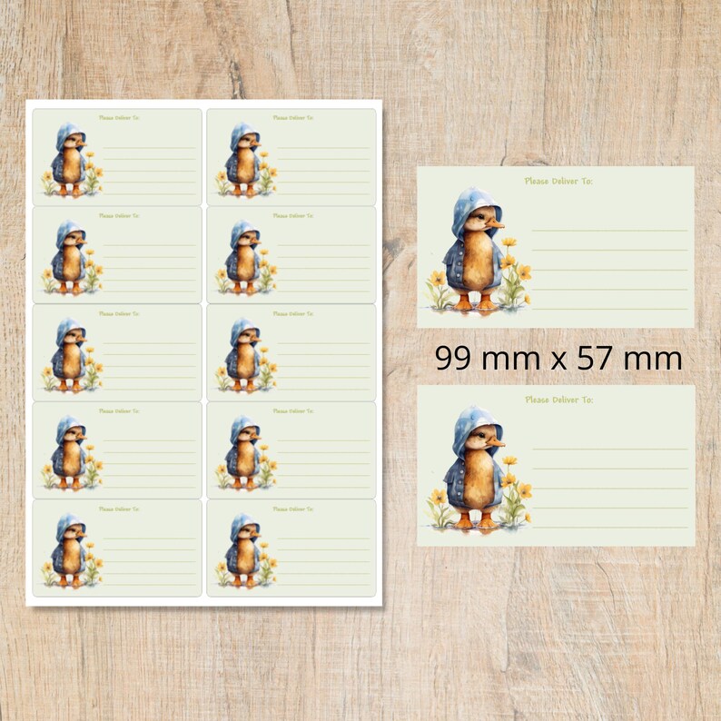 Raincoat Duck Please Deliver to Labels, 10 Self Adhesive Labels per ...