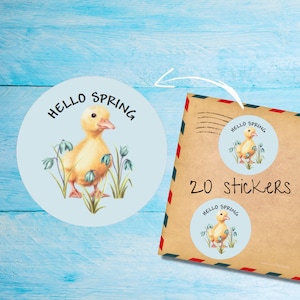 Pegatinas de patitos, paquete de 20 pegatinas redondas mate cortadas individualmente, lindas etiquetas decorativas de correo feliz para correo postal, pegatinas para correo de amigos por correspondencia