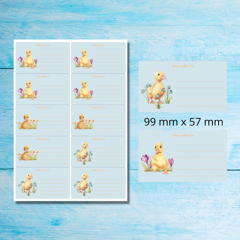 Pu&ograve; includere: Un foglio di 8 etichette per indirizzi blu e bianche con un'illustrazione di un anatroccolo giallo e il testo "Consegnare a:" Ogni etichetta misura 99 mm x 57 mm.
