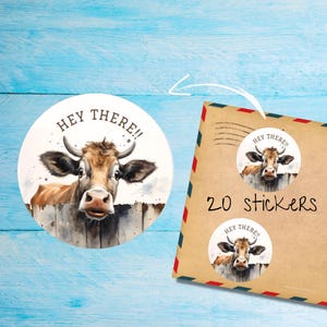 Adesivi Hey There, confezione da 20 pezzi, rotondi, opachi, tagliati singolarmente, graziose etichette decorative Happy Mail per posta ordinaria, adesivi per posta di amici di penna