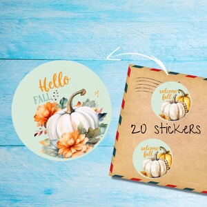 Confezione di adesivi a forma di zucca autunnale, graziose etichette postali rotonde opache e tagliate singolarmente, articoli per amici di penna per decorare buste