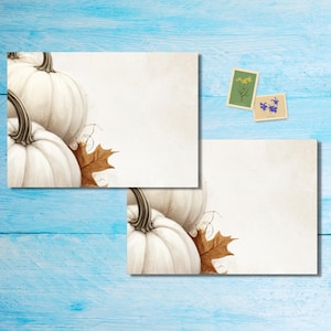 Buste White Pumpkins, confezione da 5 o 10 buste Happy Mail per lettere di amici di penna, buste postali formato C6
