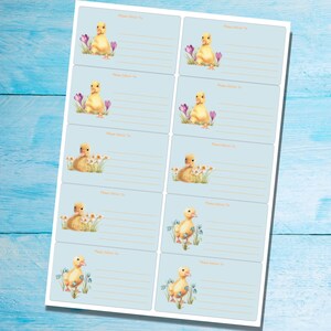 Pu&ograve; includere: Un foglio di 8 etichette regalo blu con anatroccoli gialli e fiori. Ogni etichetta ha una riga per scrivere "Consegna a:" e uno spazio per scrivere un nome o un indirizzo.