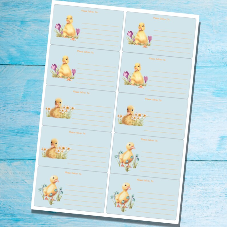 Pu&ograve; includere: Un foglio di 8 etichette regalo blu con anatroccoli gialli e fiori. Ogni etichetta ha una riga per scrivere "Consegna a:" e uno spazio per scrivere un nome o un indirizzo.