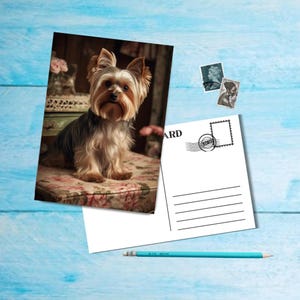 Posh Dogs (n° 4), carte postale au format A6 avec coins arrondis, belle carte postale illustrée post-crossing 14,8 cm x 10,5 cm