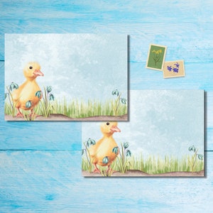 Paquete de 5 o 10 sobres con forma de patitos, sobres Happy Mail para cartas a amigos por correspondencia, sobres con envío postal tamaño C6