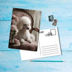 Posh Dogs (no 5), carte postale au format A6 avec coins arrondis, belle carte postale illustrée post-crossing 14,8 cm x 10,5 cm