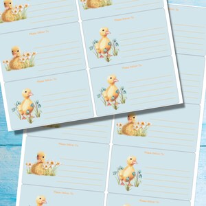 Pu&ograve; includere: Un set di 10 etichette regalo blu e bianche con un anatroccolo giallo con fiori. Ogni etichetta ha una riga per scrivere "Consegnare a:" e uno spazio per un indirizzo.
