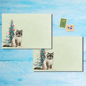 Paquete de 5 o 10 sobres Festive Cats, sobres de correo alegres para cartas de amigos por correspondencia, sobres de tamaño C6 para enviar por correo