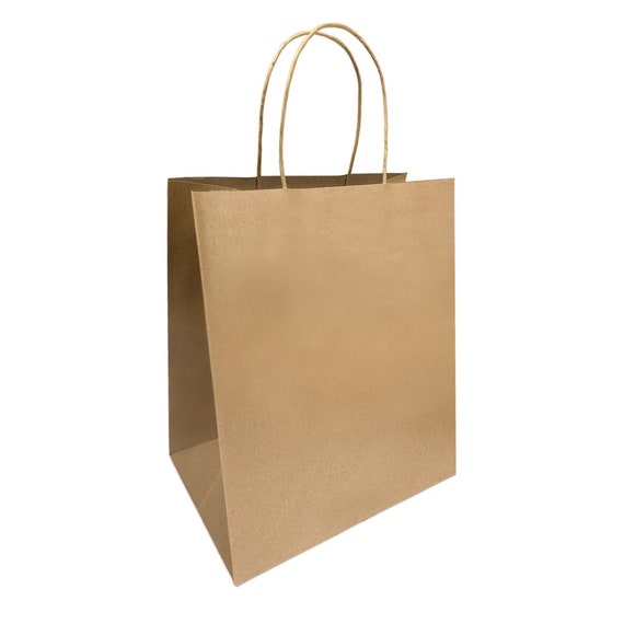 White Paper Bags with Handles, 50 Count 10x6.75x12 Inches White Kraft Paper  Bags for Wedding bags, Gift bags, Food bags, Shopping bags, Grocery bags
