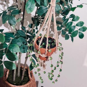 Op de afbeelding: Een hangende terracotta pot met een parelsnoerplant, opgehangen door een macramé hanger van natuurlijke vezels. De plant heeft kleine, ronde, groene, parelachtige bladeren. De pot staat tegen een achtergrond van groen gebladerte en een gevlochten mand.