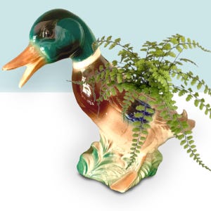 May include: A ceramic duck planter with a green head, brown body, and orange beak. The planter is filled with green leafy plants. The duck is posed with its beak open, and the base has green and cream-colored leaf details.