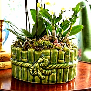 May include: A white orchid plant with green leaves and roots potted in a round, glossy green ceramic planter. The planter features a molded bamboo-like texture around the exterior, accented by a decorative rope-style knot detail on the front.