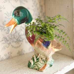 May include: A ceramic mallard duck planter featuring a glossy finish with a dark green head, orange beak, and brown body. The duck is depicted with an open beak and stands on a molded green base. A small green fern plant is growing from the back.