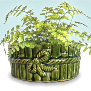 May include: A green ceramic planter with a bamboo-style design, featuring a rope detail and a decorative knot. The planter is filled with a vibrant green fern. The planter is approximately 6 inches in diameter.