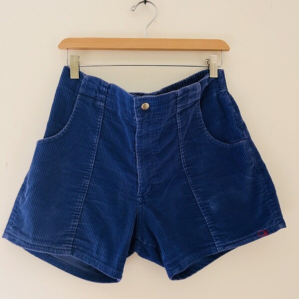 VTG 80s OP Ocean Pacific Mens  Skate Surf Shorts Sz 34 Cobalt Blue Corduroy