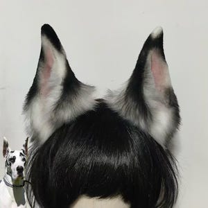 May include: A pair of tall, pointed animal ears made of faux fur with a gradient of black, gray, and white tones. The inner ear features a soft pink hue, while the outer edges are covered in long, textured fur. The ears are attached to a black wig.