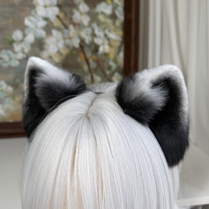 Peut inclure: Une paire d'oreilles de chat en fausse fourrure pelucheuse avec un dégradé de noir et de blanc, présentant des pointes sombres qui passent à des tons gris clair et blancs à la base, posées sur une chevelure blanche lisse mi-longue.