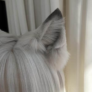 Puede incluir: Un par de orejas de lobo de piel sint&eacute;tica gris con puntas de color gris m&aacute;s oscuro. Las orejas est&aacute;n unidas a una peluca con pelo largo, liso y gris claro. Las orejas son esponjosas y detalladas, con un aspecto realista.