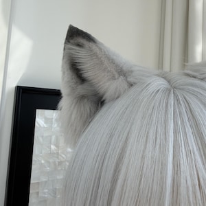 Puede incluir: Primer plano de un par de orejas de lobo de piel sint&eacute;tica gris y blanca. Las orejas tienen puntas grises m&aacute;s oscuras y est&aacute;n unidas a una peluca con pelo largo, liso y gris claro. La imagen destaca la textura de la piel.