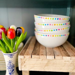 CEREAL BOWL SET Rainbow Polka Dot Ceramic Dish | Chippy Bits, Home Decor, Tiered Tray, Serving Piece, Succulent Planter, Snacks, Ice Cream