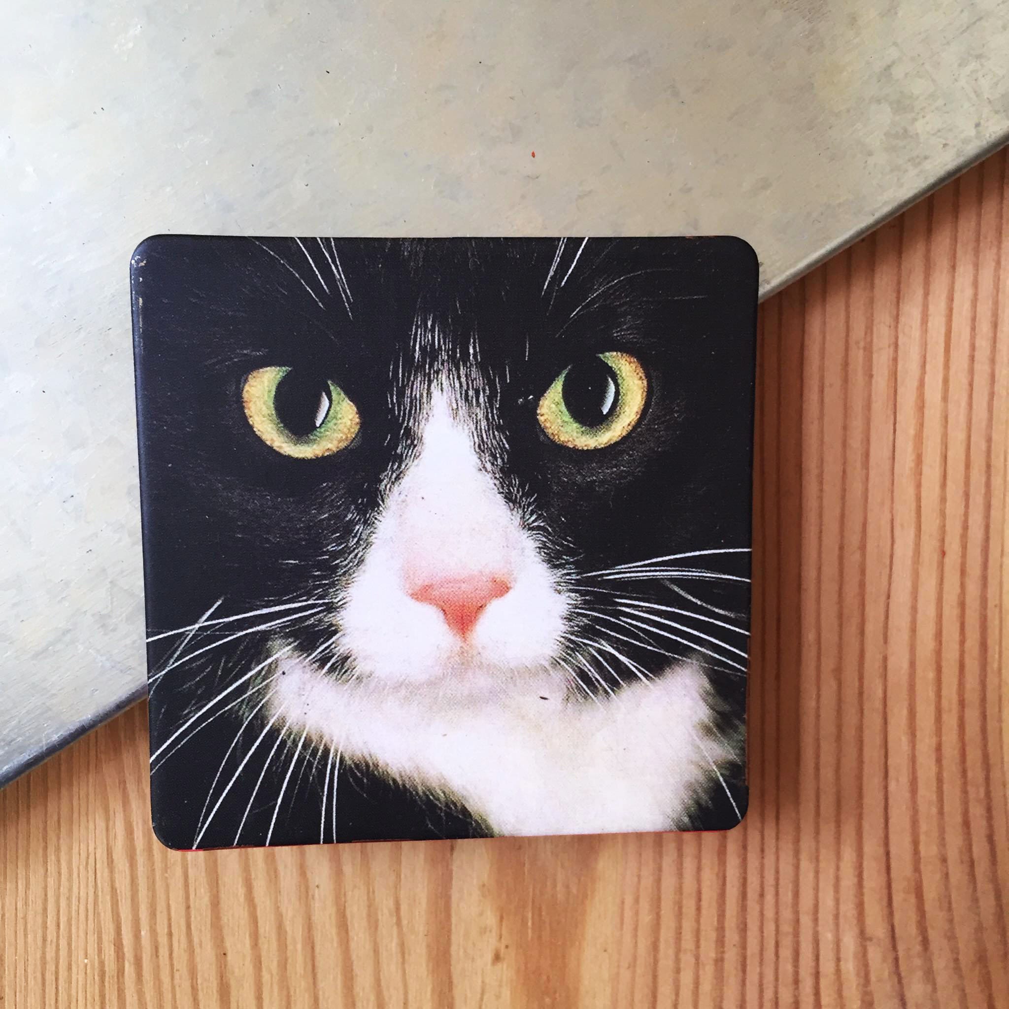 Kühlschrank Sticker Lustige katze mit futterzitat - TenStickers