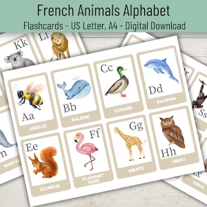 French Animal Alphabet Flashcards, French Alphabet Printable, French ABC Learning Cards, Preschool Flashcards, Preschool Classroom Activity