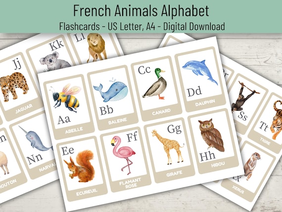 Tarjetas Flash Parlantes En Francés Para Niños – 510 Palabras Con Sonidos De Animales Y Vehículos, Aprendizaje Interactivo Sin Pantalla