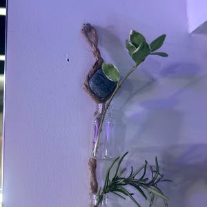 Crystal hanging propagation station