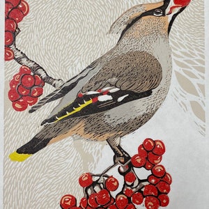 Handmade Limited Edition Lino Print - Waxwing and Rowan berries I with plain background