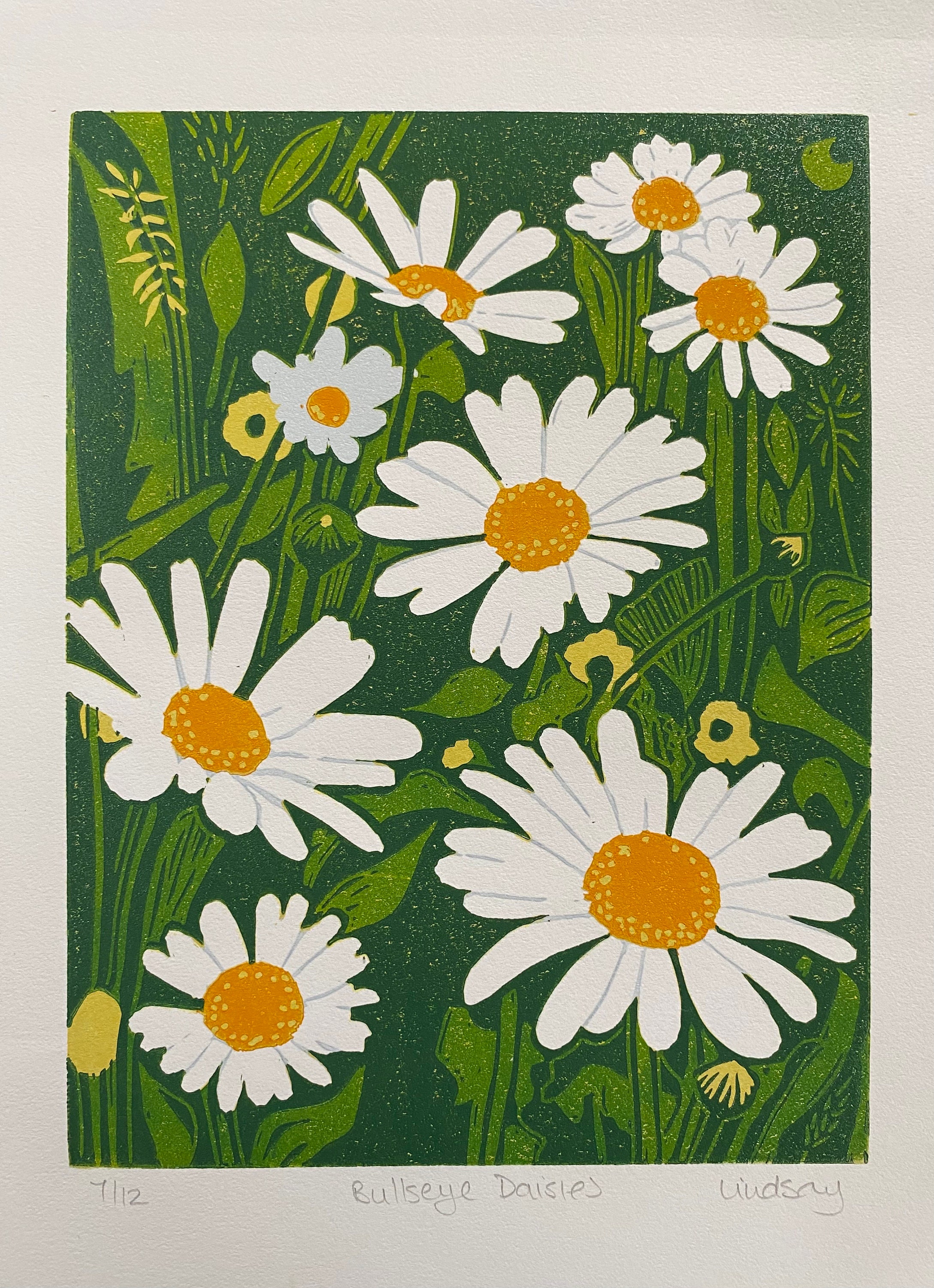 Oxeye Daisy Print - Etsy