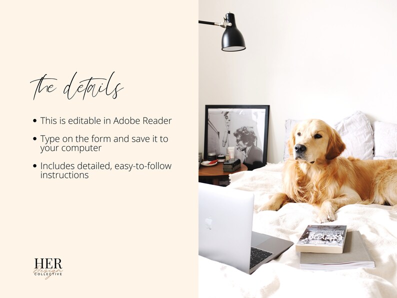 May include: A white laptop computer, a stack of books, and a golden retriever dog are on a white bed with white bedding. A black lamp is on the wall behind the bed. A black framed picture is on a wooden table next to the bed.