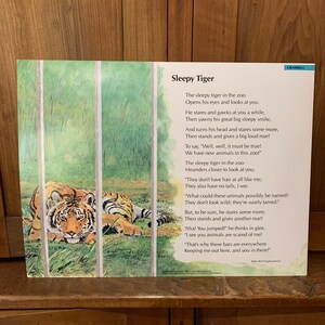 May include: A colorful illustration of a tiger in a zoo setting. The tiger is lying down with its head resting on its paws. The illustration is accompanied by a poem about the tiger, titled "Sleepy Tiger".