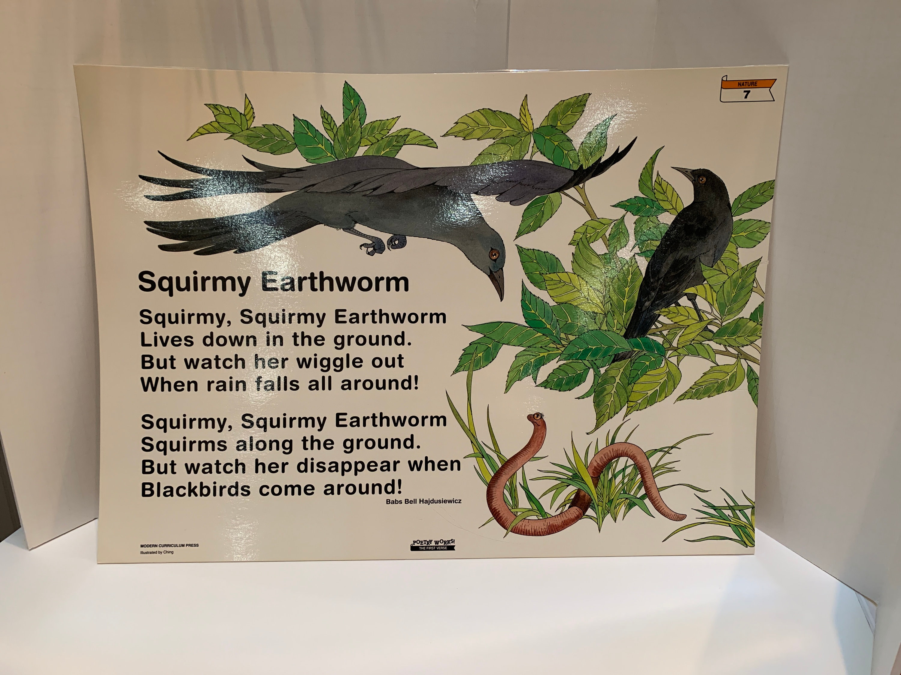 Fingerplay Science Poster SQUIRMY EARTHWORM w Activities on back Kids PreK-1st Gr Teacher Parent Activities Home 16x22 Double-sided