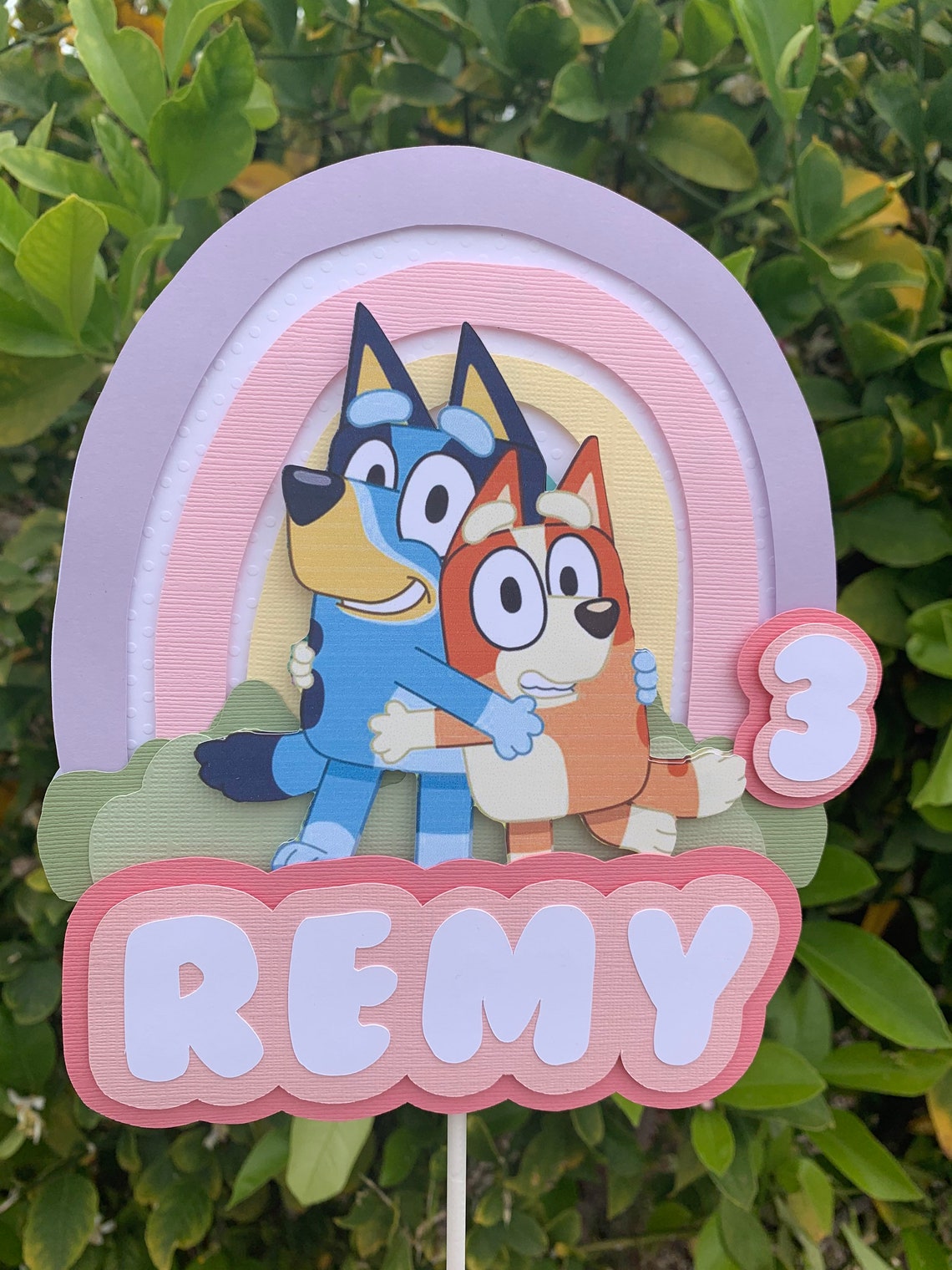 Bluey Cake Topper Bluey And Bingo Cake Toppper bluey And Etsy
