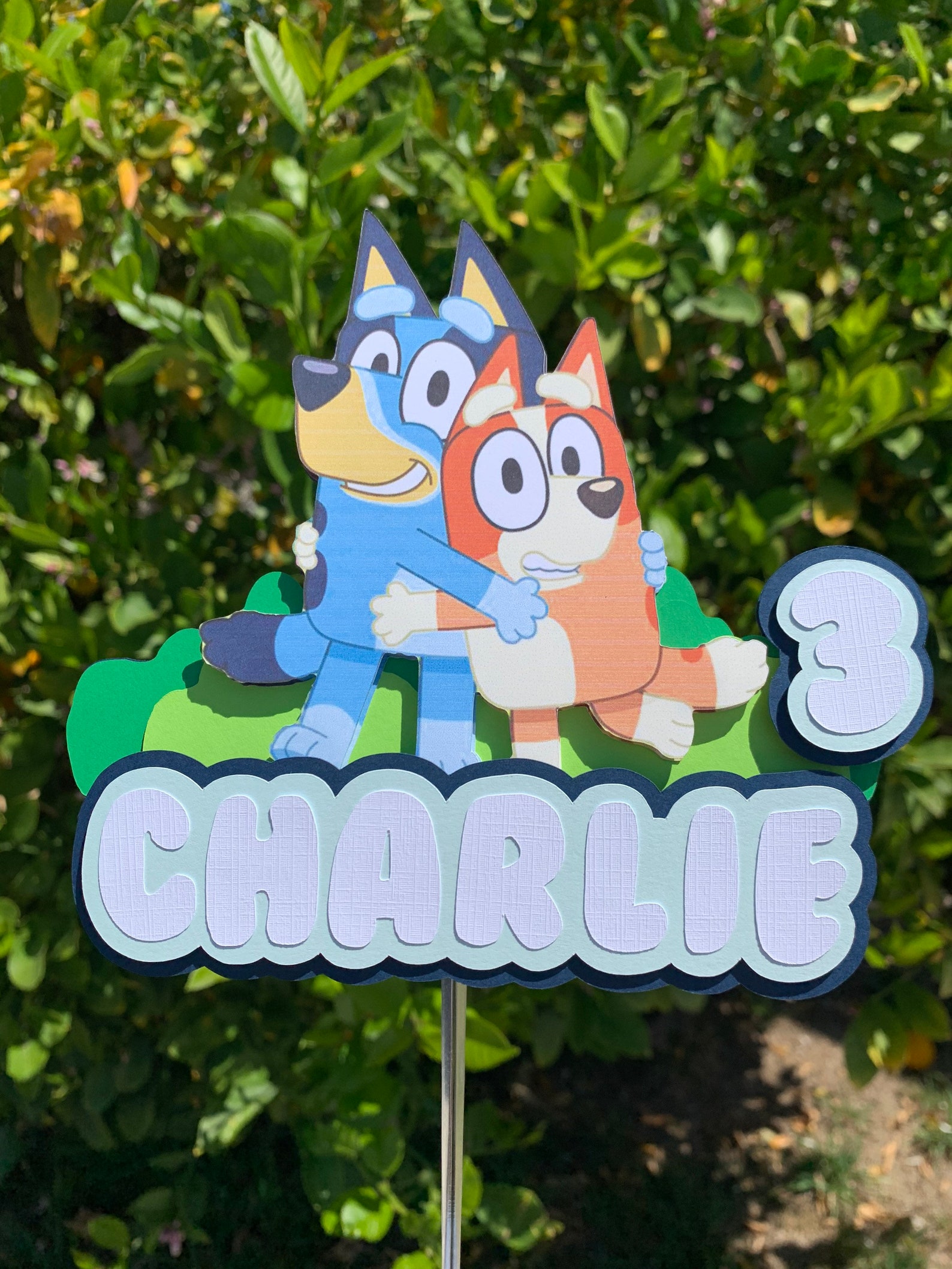 Bluey Cake Topper Bluey And Bingo Cake Toppper bluey And Etsy