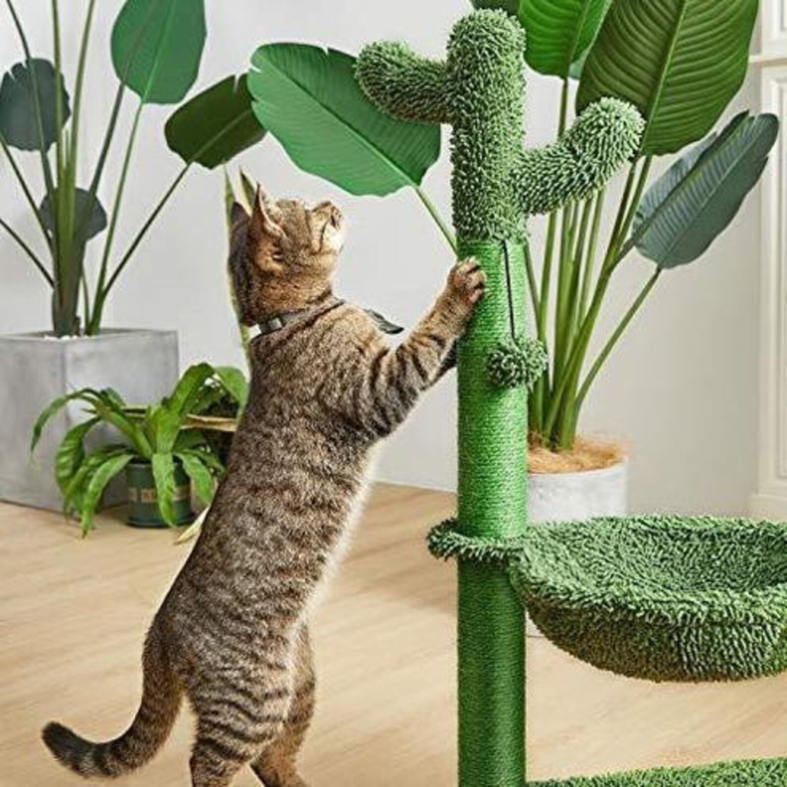 31 Cactus Cat Tree with Hammock and Full Wrapped Sisal Etsy